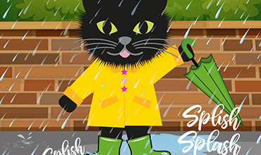 Soggy Moggy
